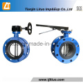 Tianjin Factory Flange Butterfly Valve